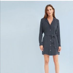 Everlane polka dot shift dress